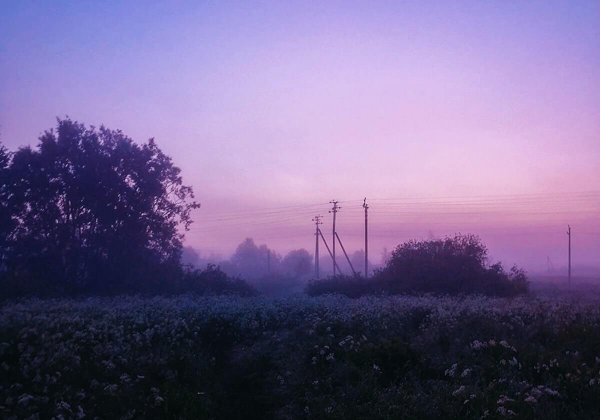 华体会hth——引领全新线上娱乐体验